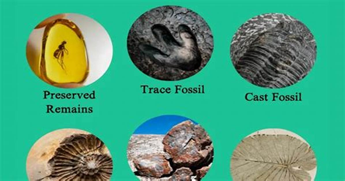 What Does Pseudofossil Mean?
