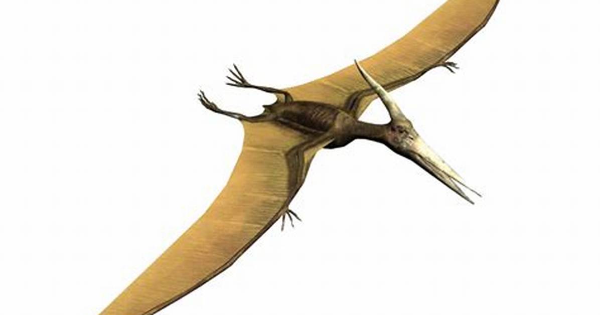 What Does Pterodactyl Mean?