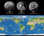 What Does Pteropod Mean?
