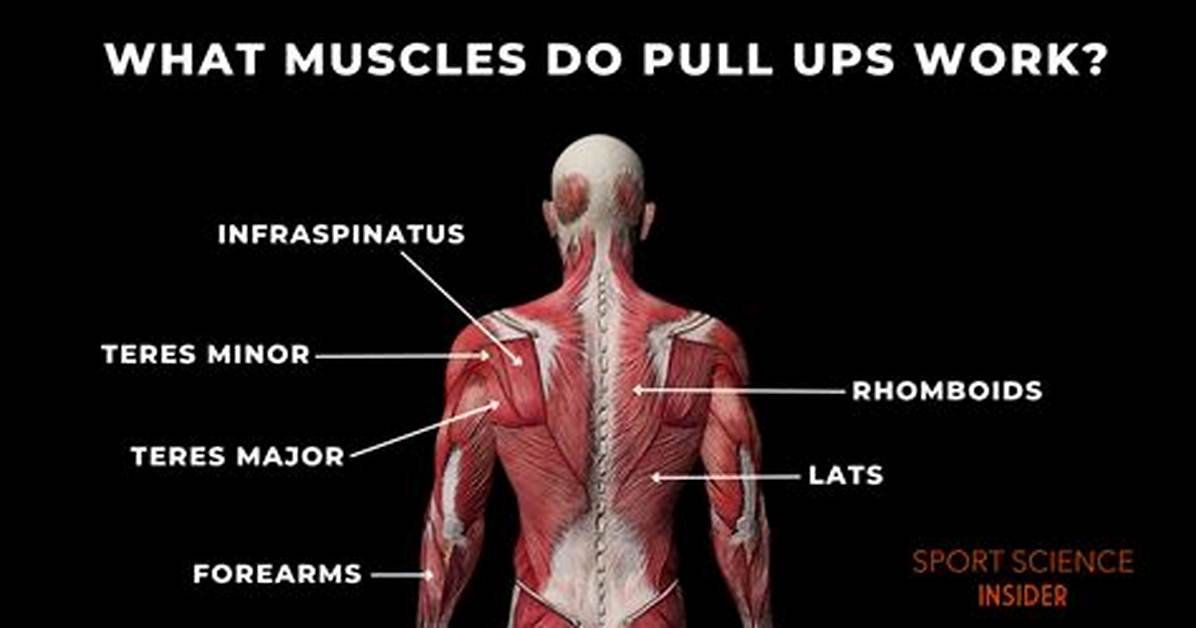 What Does Pull Do?