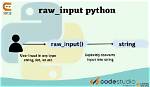 What Does Python's Raw_Input Do?