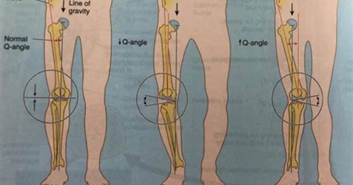 What Does Q Angle Stand For