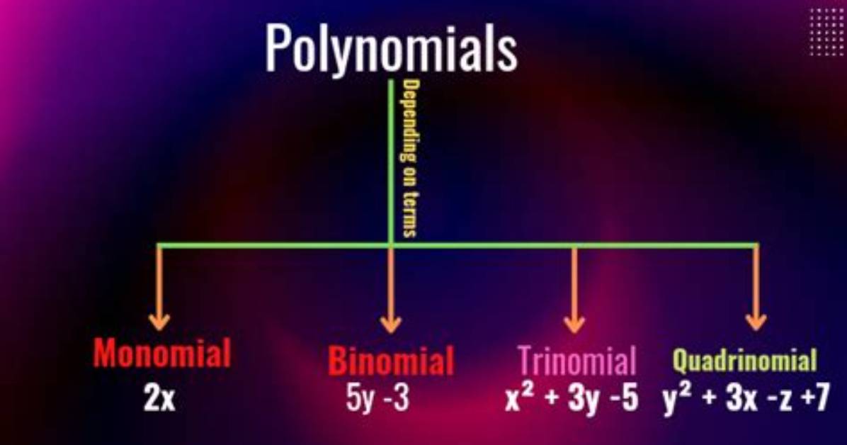 What Does Quadrinomial Mean?