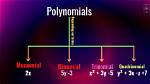 What Does Quadrinomial Mean?