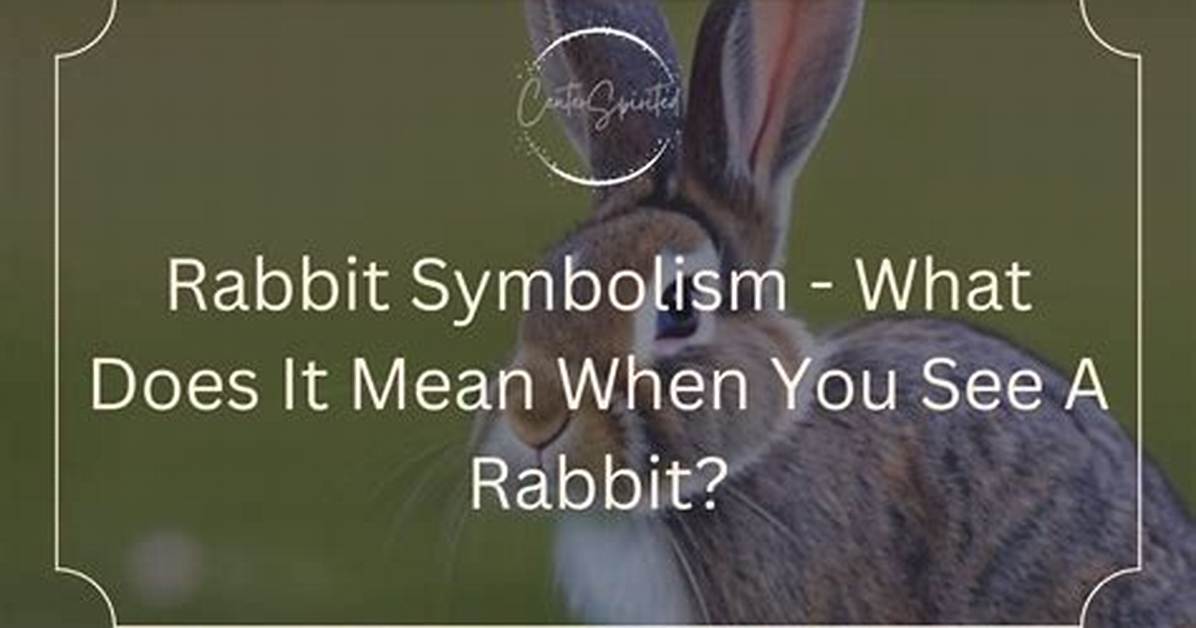 What Does Rabbit Mean?
