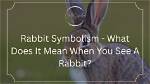 What Does Rabbit Mean?