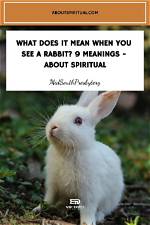 What Does Rabbits Mean?
