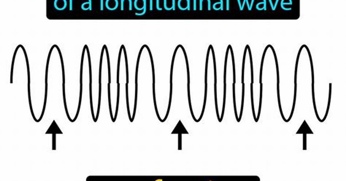 What Does Rarefaction Mean?