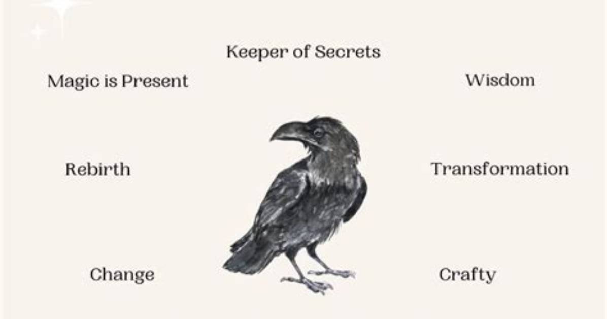 What Does Ravens Represent?