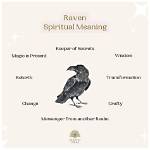 What Does Ravens Represent?
