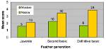 What Does Rectrices Mean?