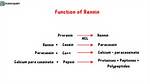 What Does Rennin Digest?