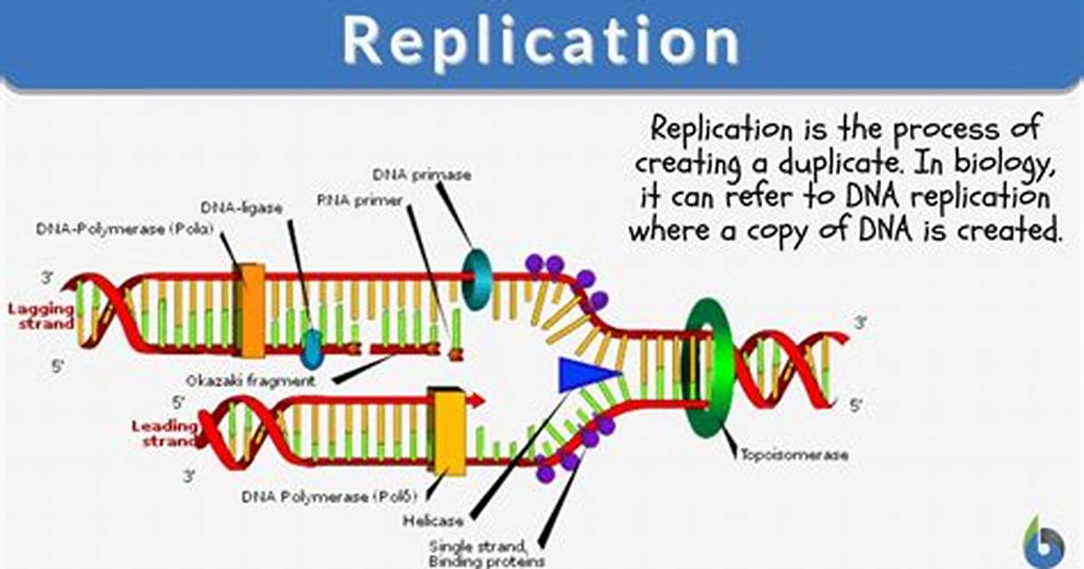 What Does Replication Mean
