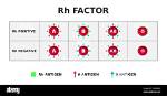 What Does Rh Negative Mean