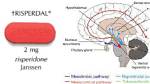 What Does Risperdal Do to the Brain?
