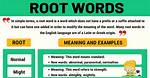What Does Root Mean
