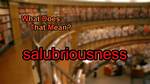 What Does Salubriousness Meaning?