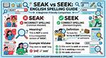 What Does Seek Mean