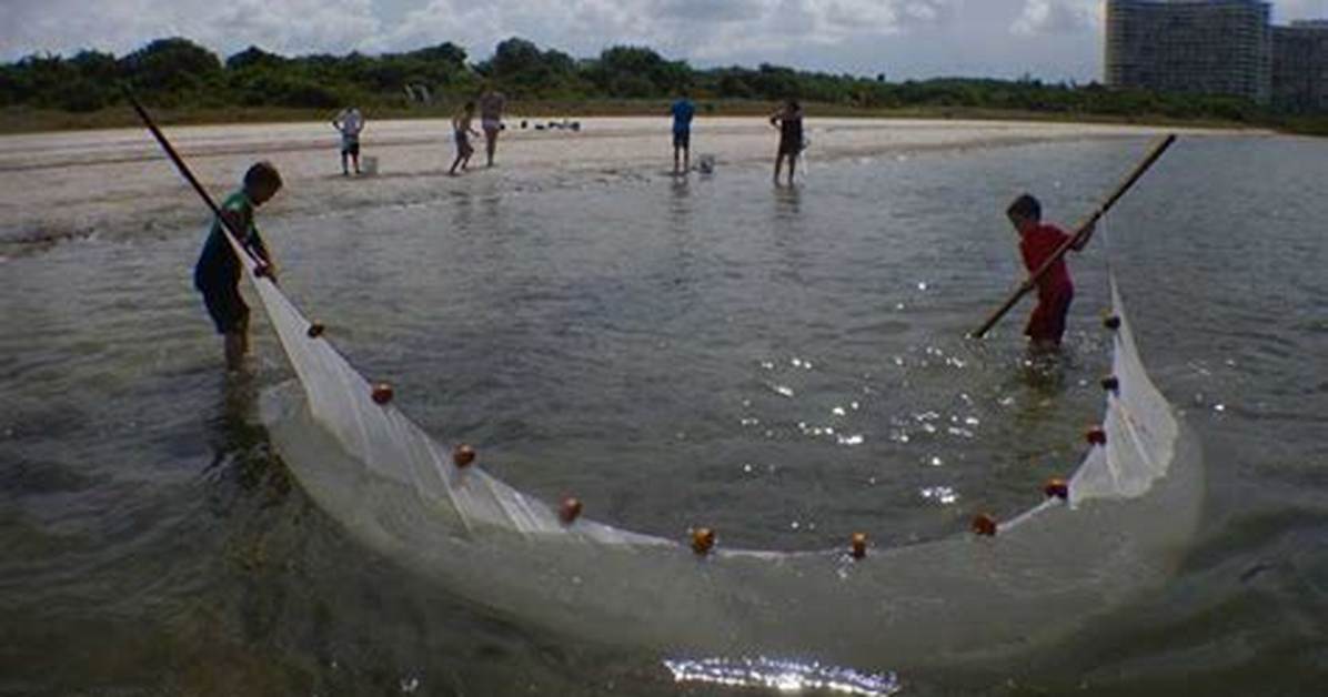 What Does Seining Mean?