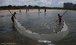 What Does Seining Mean?
