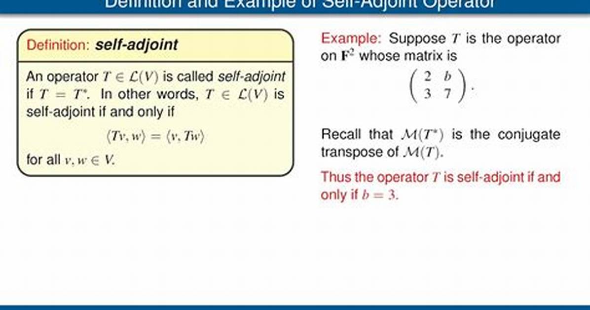 What Does Self Adjoint Mean?