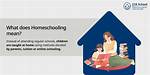 What Does Self Schooling Mean?