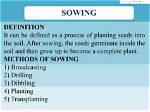 What Does Self Sowing Mean?