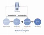 What Does Sells Mean?