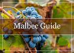 What Does Semillon Mean?