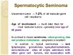 What Does Seminomas Mean?