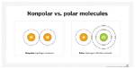What Does Semipolar Mean?