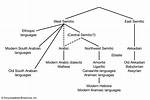 What Does Semitic Language Mean?