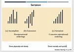 What Does Seriation Mean?