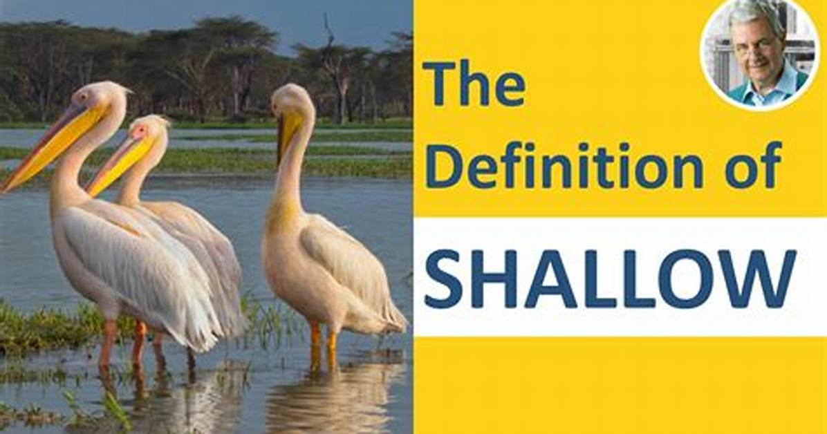 What Does Shallow Mean