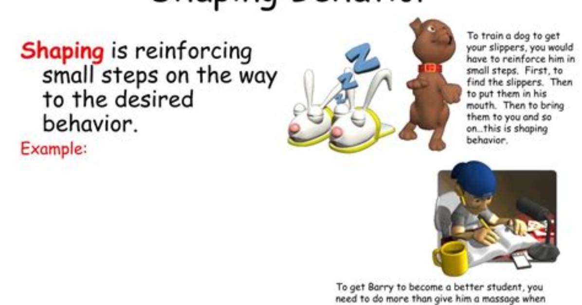 What Does Shaping Mean?