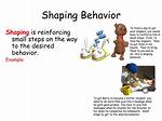 What Does Shaping Mean?