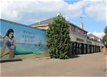What Does Sheerness Mean?