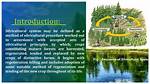 What Does Silviculture Mean?