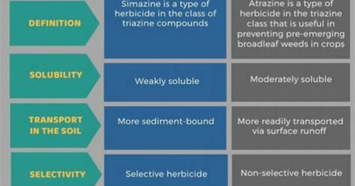 What Does Simazine Kill