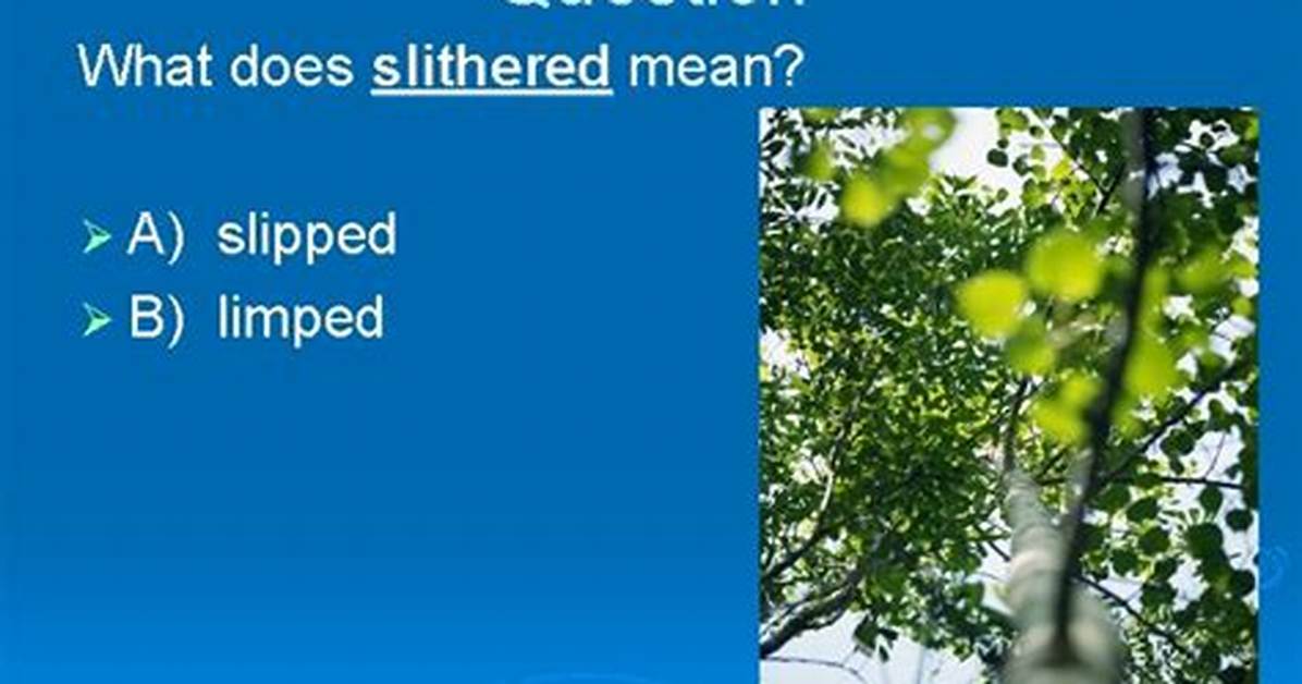 What Does Slithered Down Mean?
