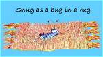 What Does Snig Mean?