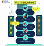 What Does Snowflake Do