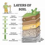 What Does Soil Level Mean