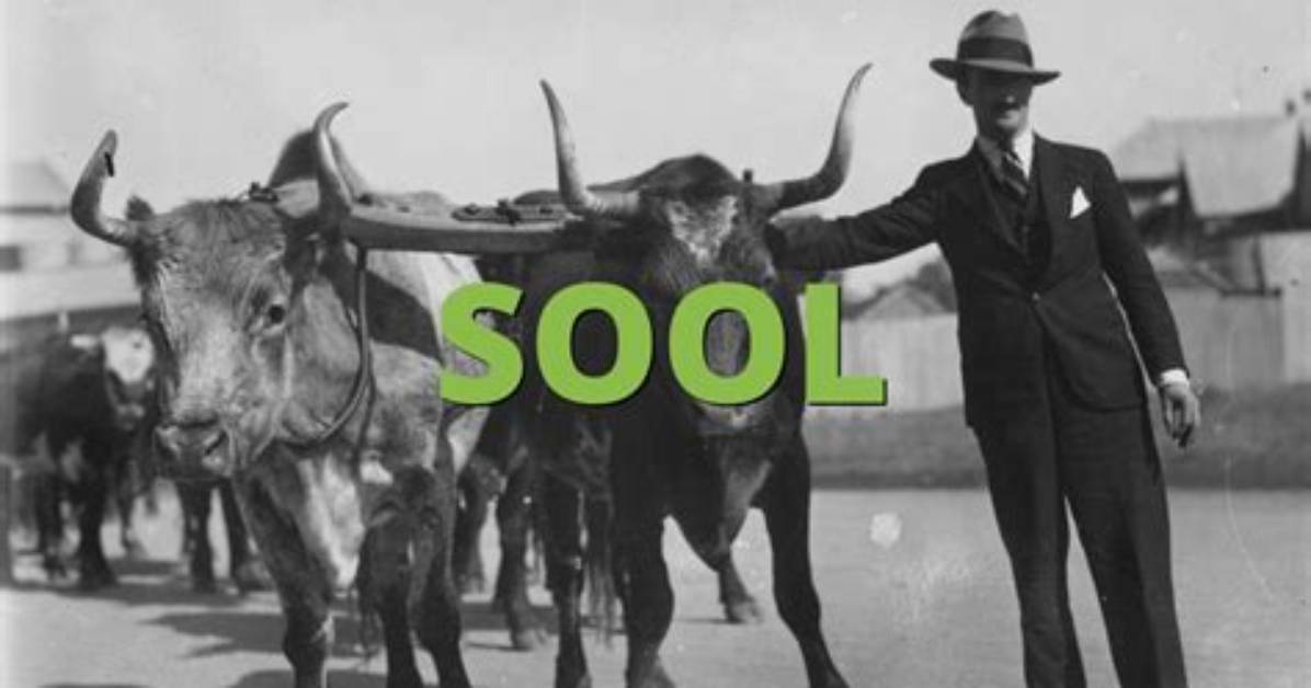 What Does Sool Mean?
