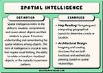 What Does Spatial Navigation Mean