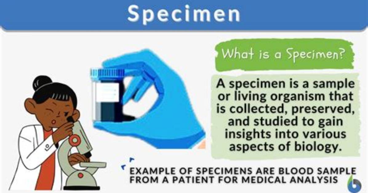 What Does Specimen Mean