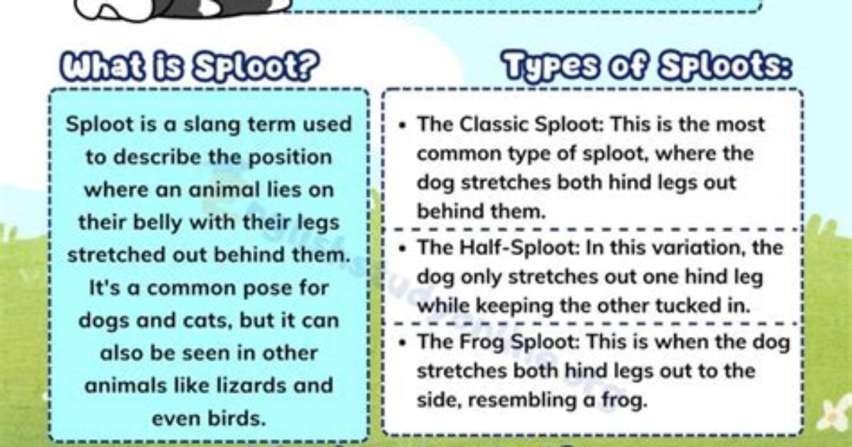 What Does Sploot Mean?