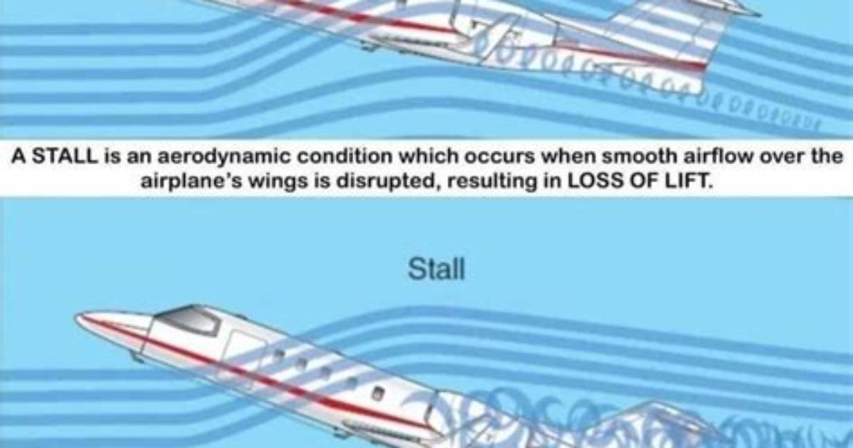 What Does Stall-Feed Mean?
