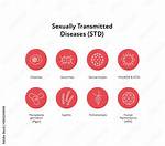 What Does Std: :Vector Look Like in Memory?