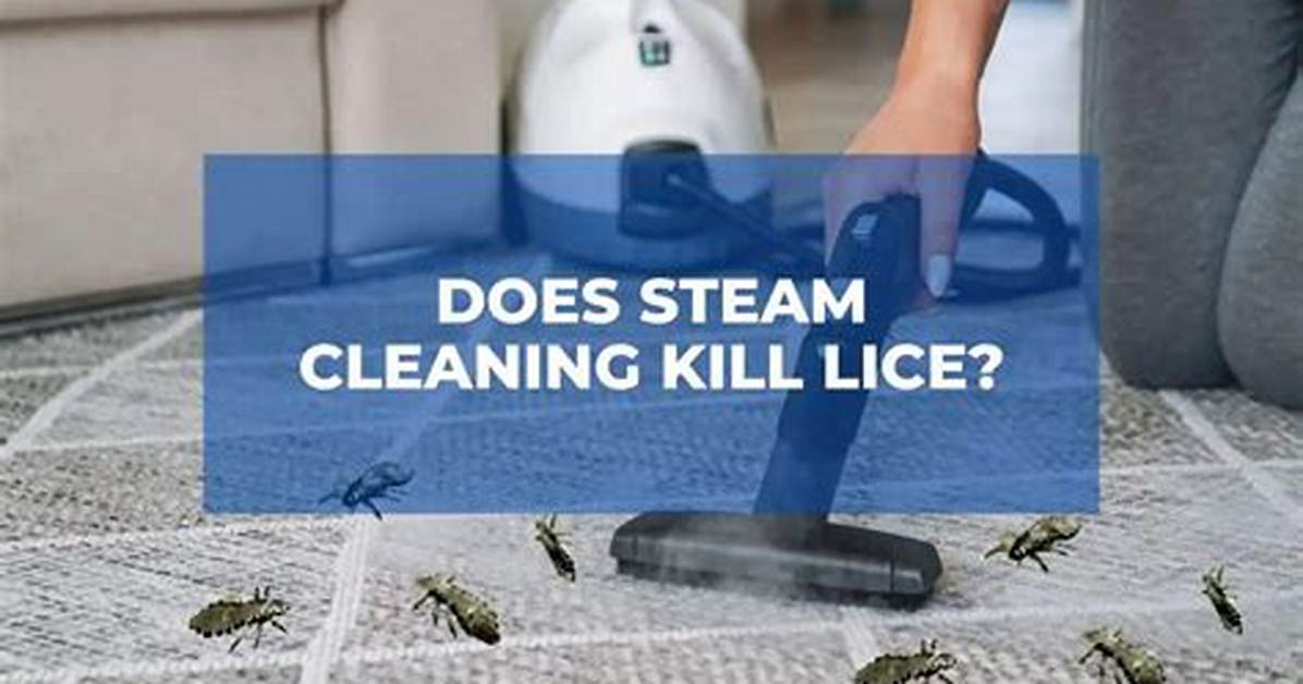 What Does Steam Cleaning Kill
